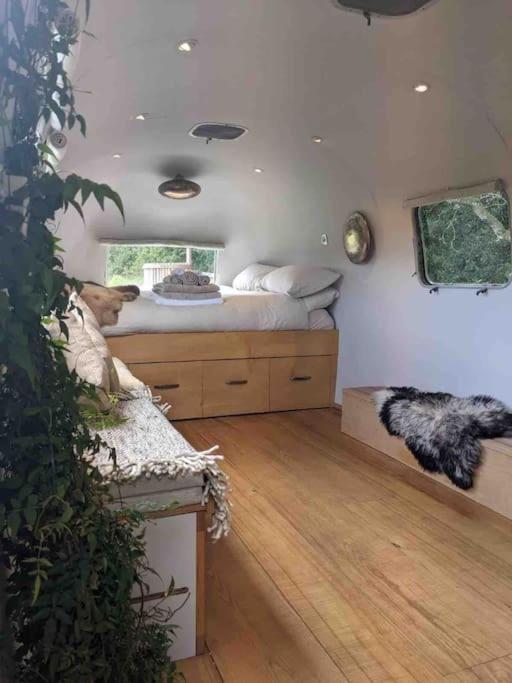 Airstream, Vintage American Caravan & Hottub Ашбертон Екстер'єр фото